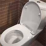 δυναμικές λύσεις για αποφράξεις τουαλετών στην Τήνο